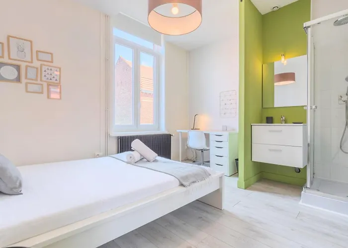 Appartement 4 Bedroom & 4 Bathroom House Close To Parc Barbieux