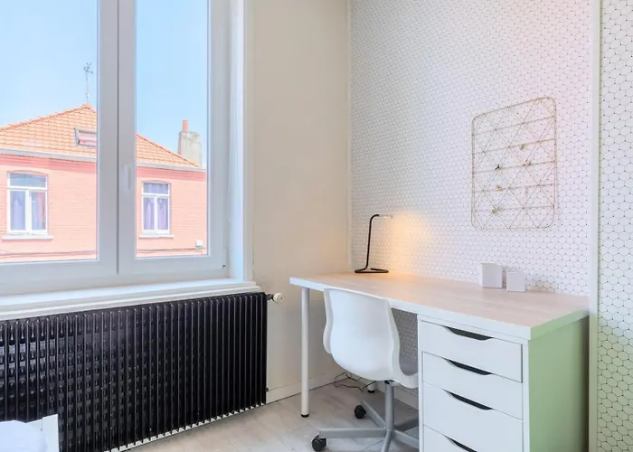 4 Bedroom & 4 Bathroom House Close To Parc Barbieux * Roubaix